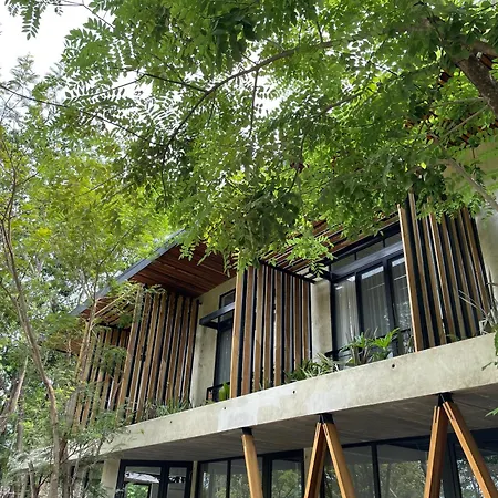 Mar Botánico - Avellanas Beach Hotel