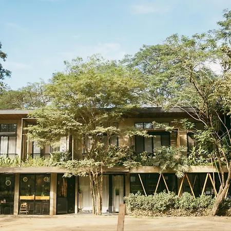 Mar Botanico - Avellanas Beach Hotel