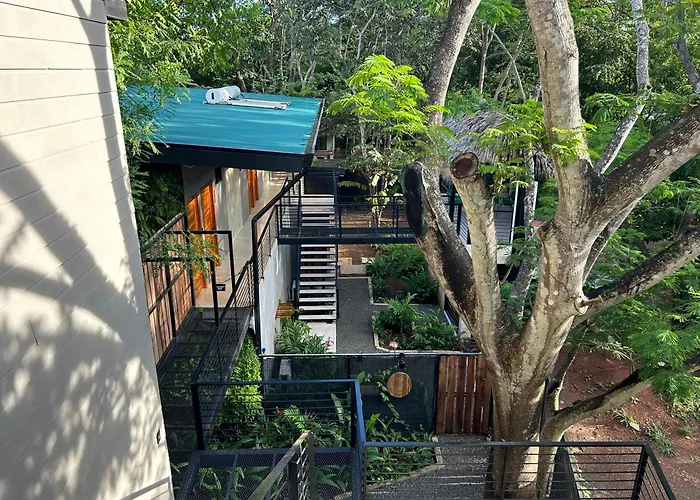 Mar Botánico - Avellanas Hotel