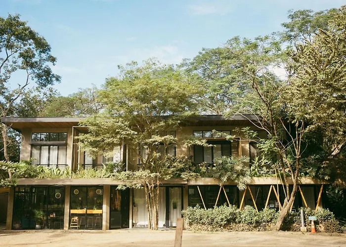 Hotel Mar Botánico - Avellanas