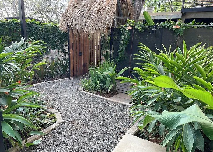 Mar Botanico - Avellanas *